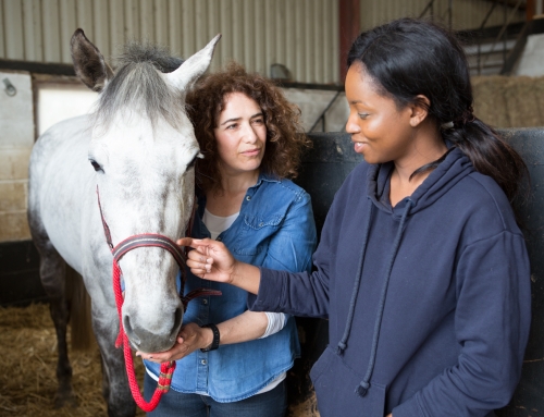 Strength and Learning Through Horses (SLTH)